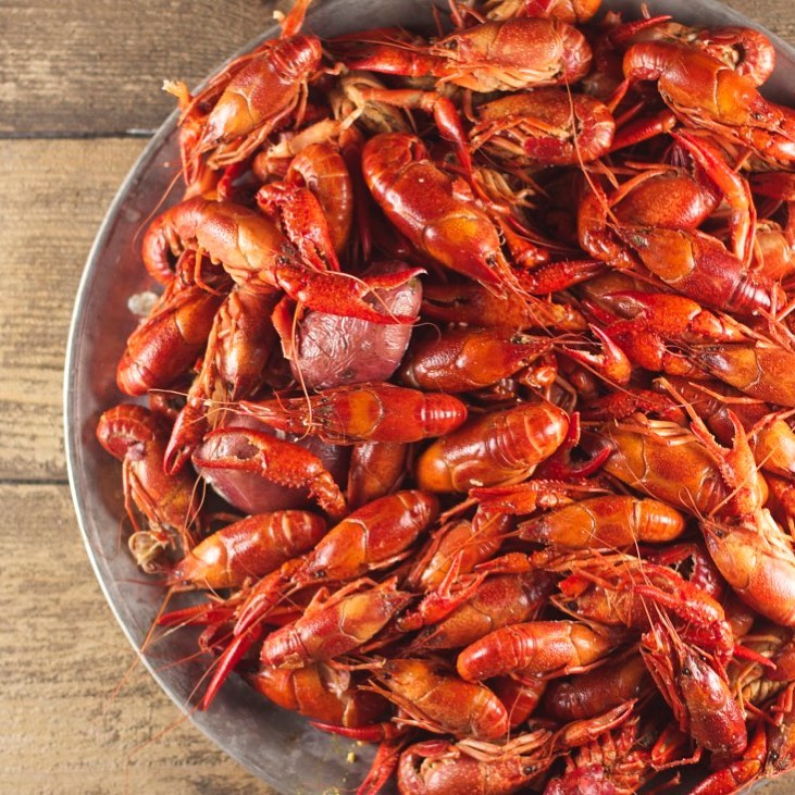 Seafood Catering in Buda